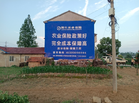 钦州墙体广告为何受追捧？